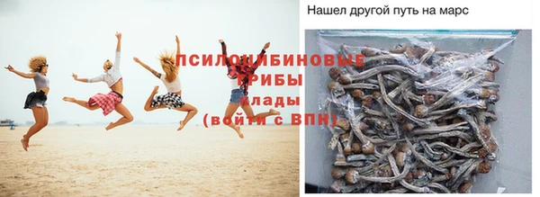 ПСИЛОЦИБИНОВЫЕ ГРИБЫ Кулебаки