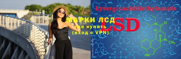 прущие грибы Кукмор