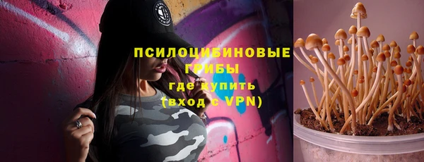 ПСИЛОЦИБИНОВЫЕ ГРИБЫ Кулебаки