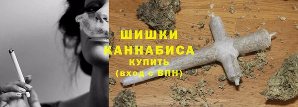прущие грибы Кукмор