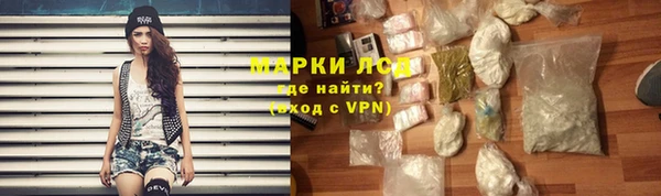 прущие грибы Кукмор