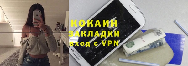 ПСИЛОЦИБИНОВЫЕ ГРИБЫ Кулебаки