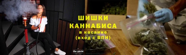 ПСИЛОЦИБИНОВЫЕ ГРИБЫ Кулебаки