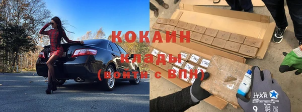 прущие грибы Кукмор