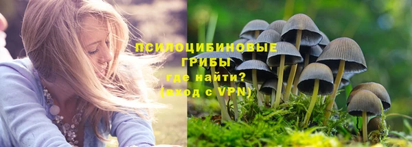прущие грибы Кукмор