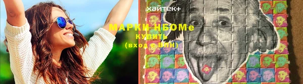 ПСИЛОЦИБИНОВЫЕ ГРИБЫ Кулебаки