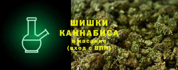 прущие грибы Кукмор