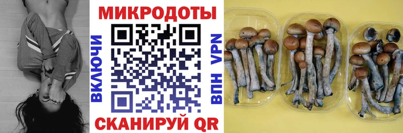 Галлюциногенные грибы прущие грибы Североморск
