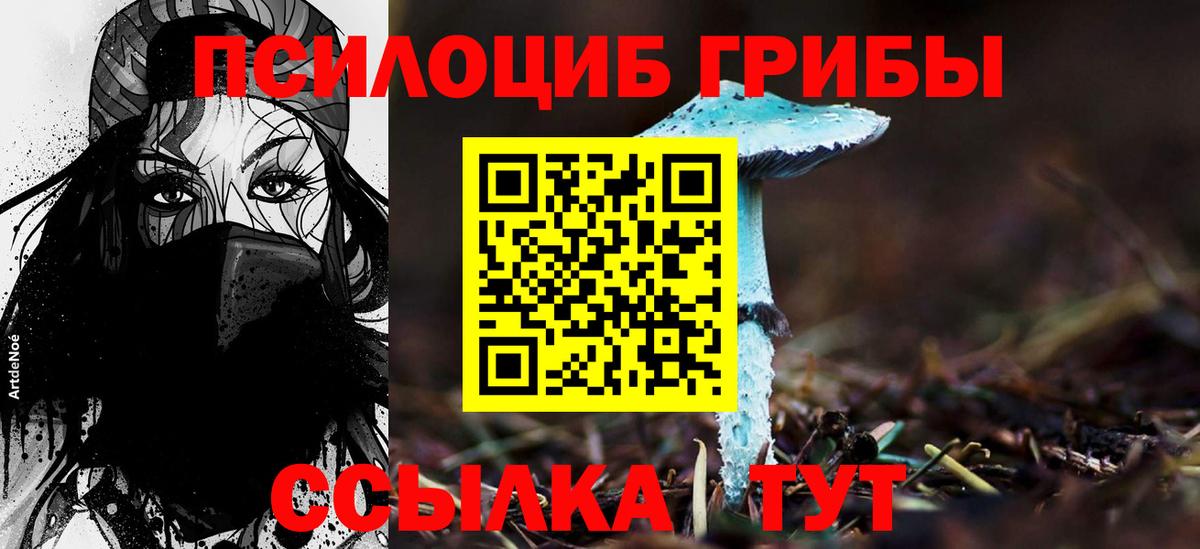 Псилоцибиновые грибы Psilocybine cubensis  Вход с VPN  Галлюциногенные грибы Psilocybe  Североморск 